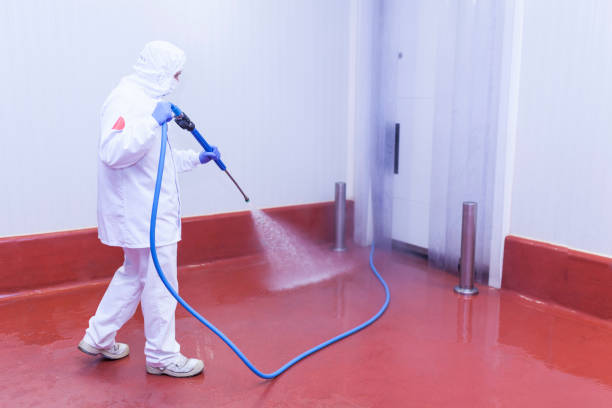 Best Dumpster Area Cleaning  in Muhlenberg Rk, PA